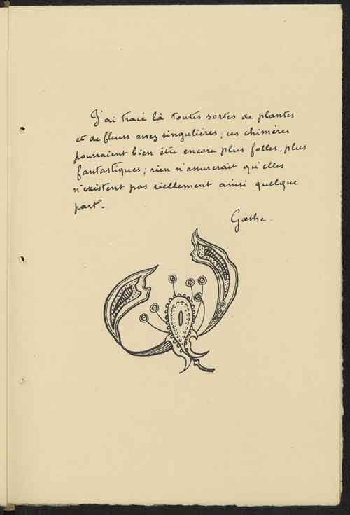 Gustave Fayet - Oeuvres - Illustrations de livres - Fleurs, livre ; livre d’illustrations