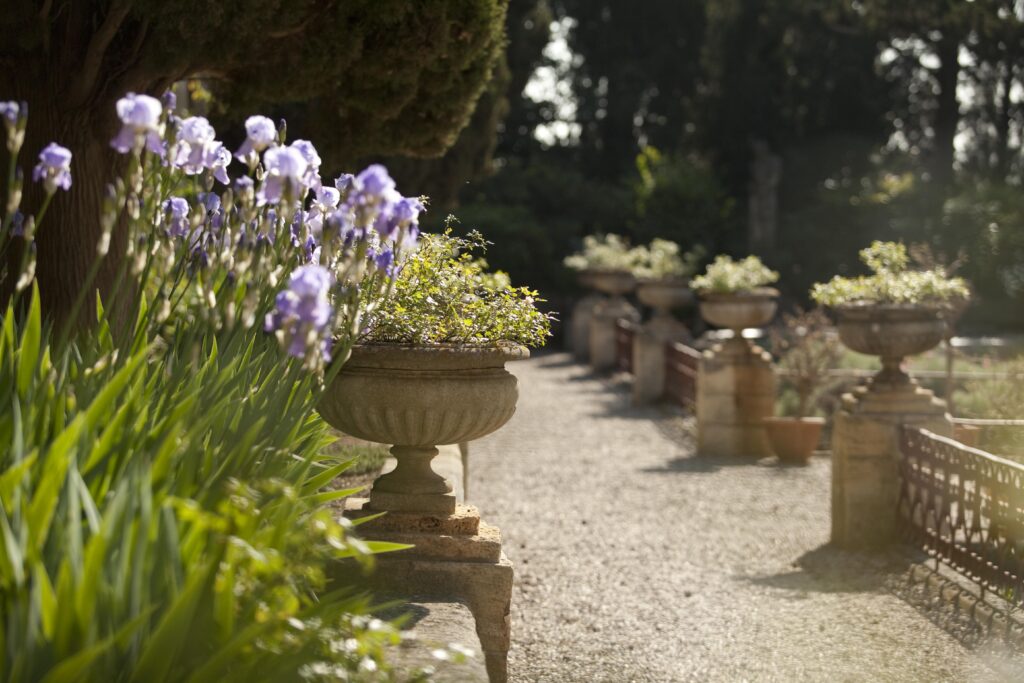 Exposition : « Gustave Fayet et ses jardins imaginaires » – Abbaye Saint-André