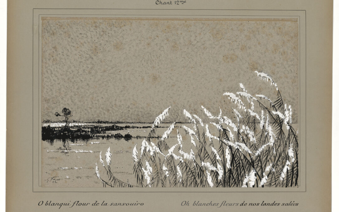 Visite-Atelier “Herbier” – Museon Arlaten